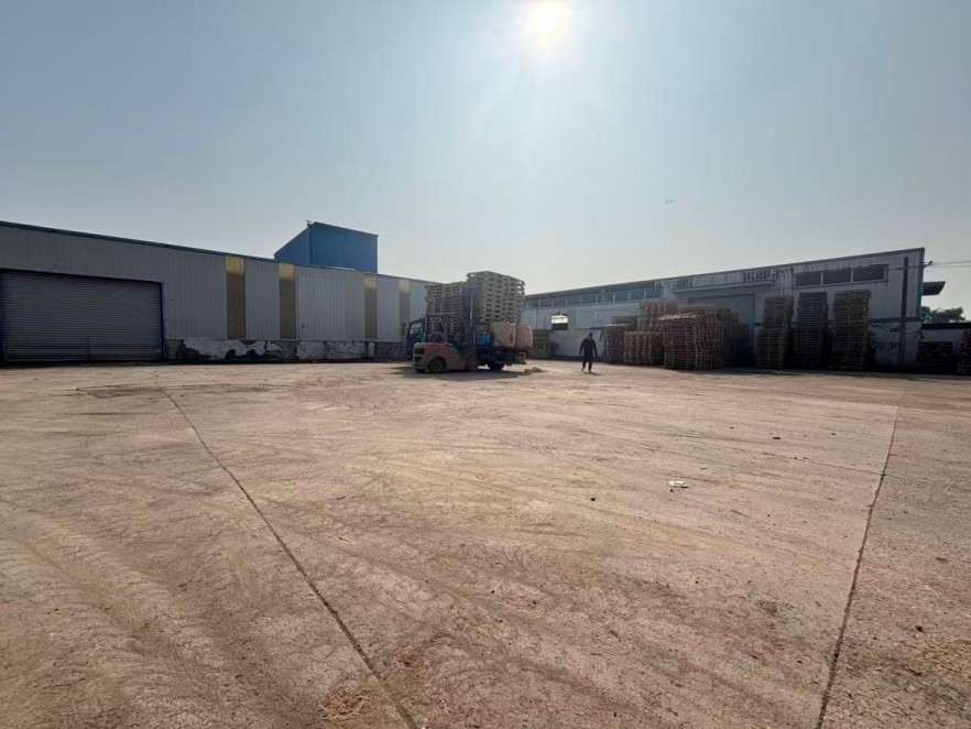房东直租肥西独门独院钢构厂房仓库空地低价招租
