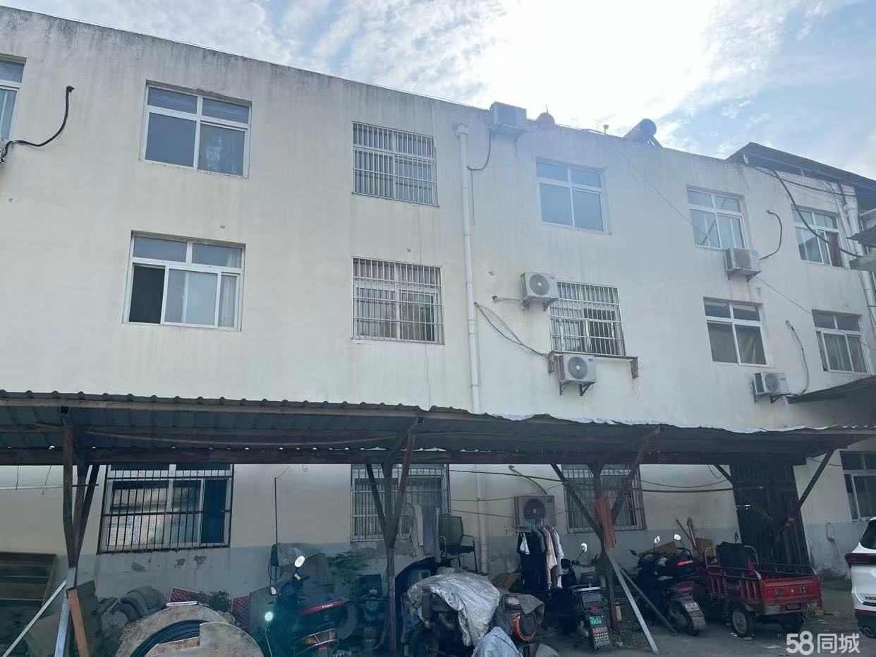 房东直租长丰岗集标准钢构厂房交通便利配套齐全可喷塑